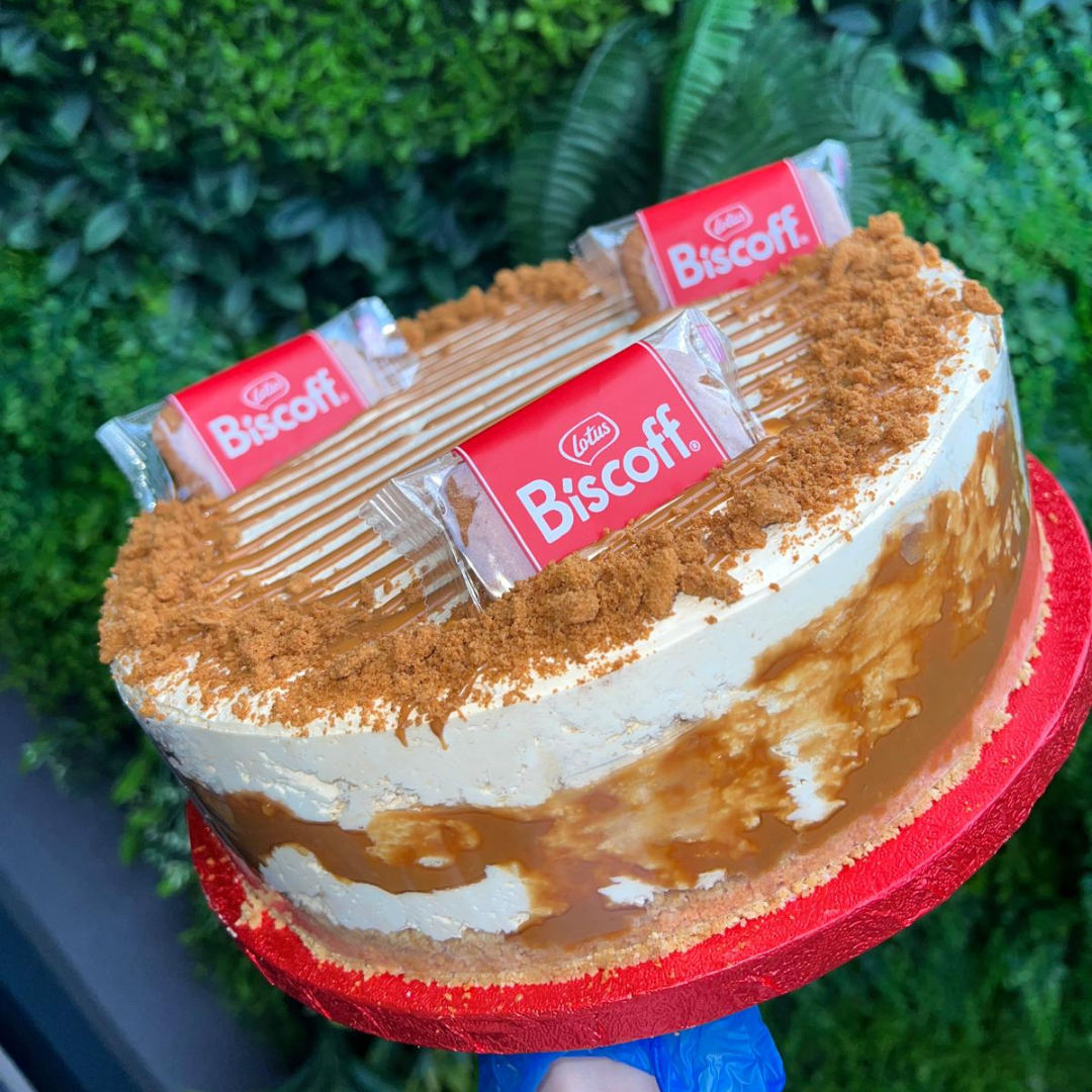 Xmas Biscoff & Smores Cheesecake