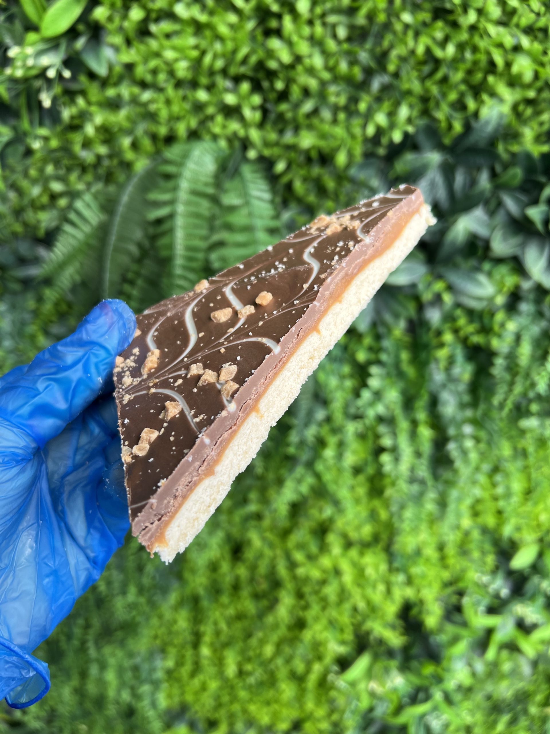 7A53CA7C-4AF2-4EE5-8E5C-F625A0D13517